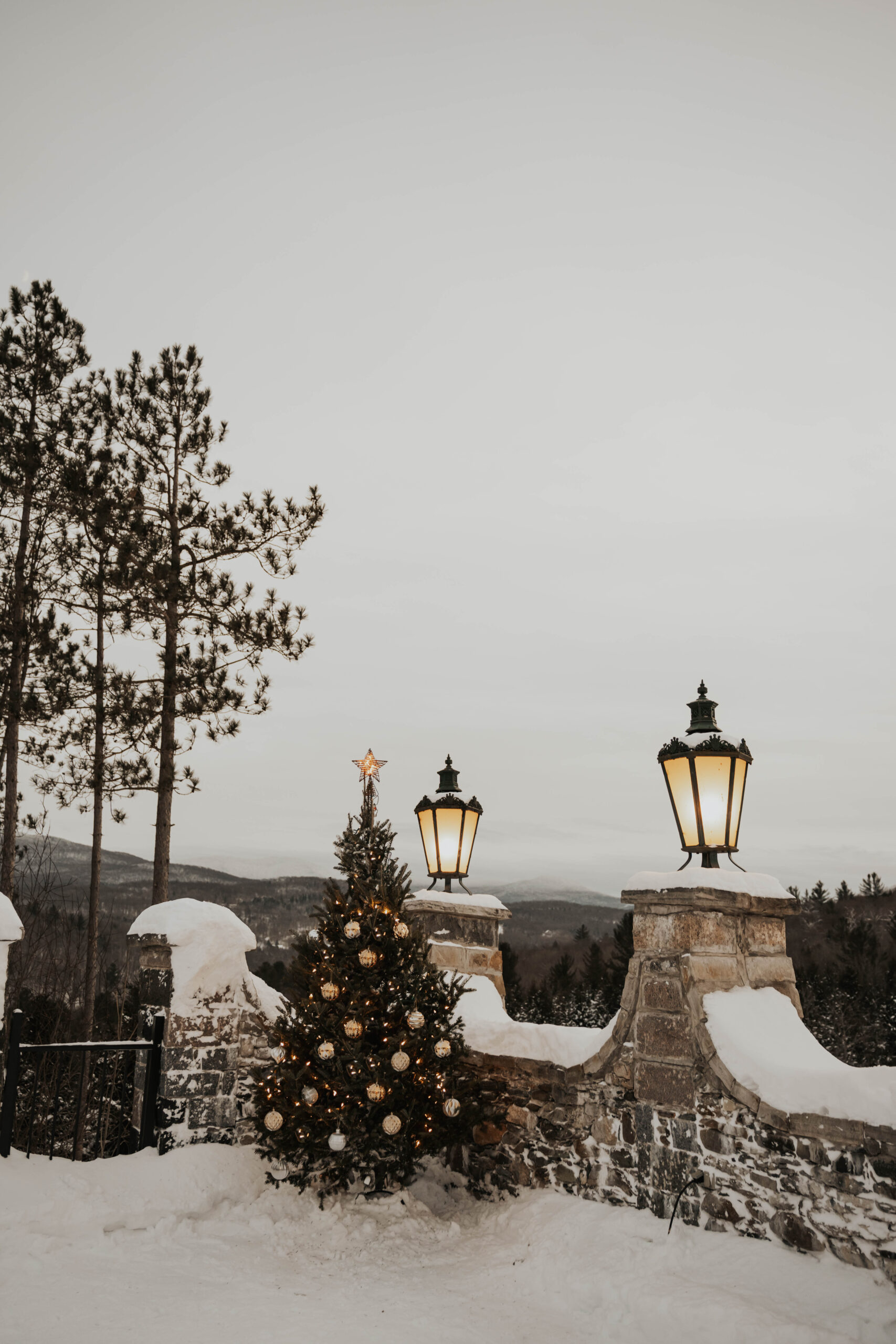 Winter Wine Escape & Raclette